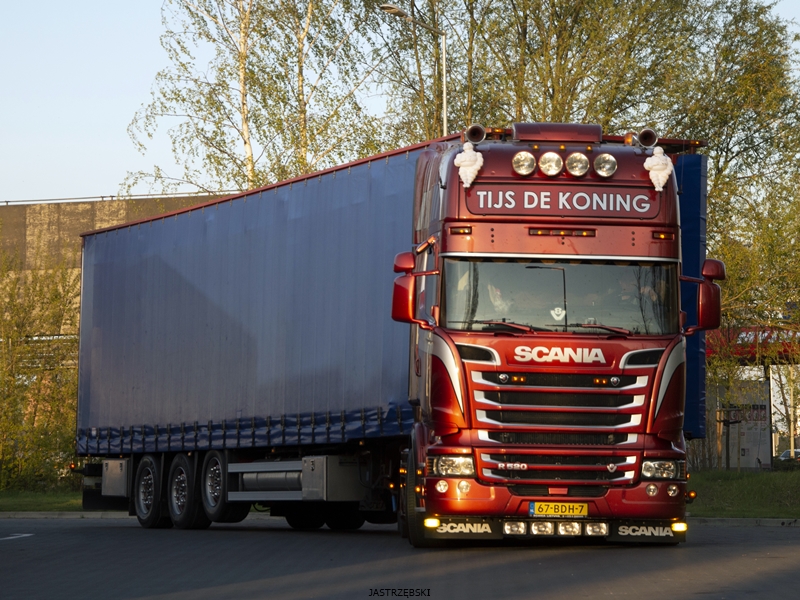 DSC_0911kopia1 tf.jpg