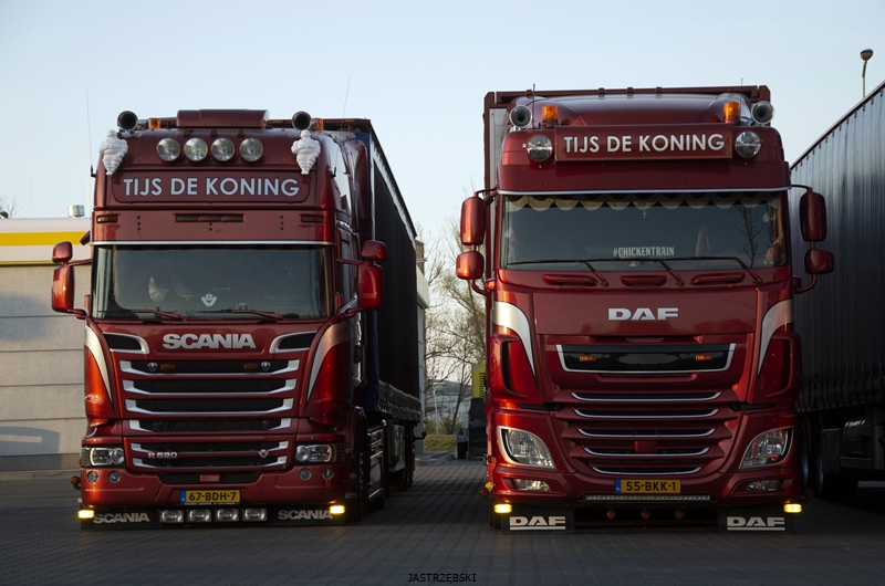 DSC_0929kopia1 tf.jpg