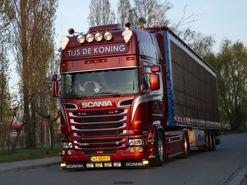 DSC_0991kopia1 tf.jpg