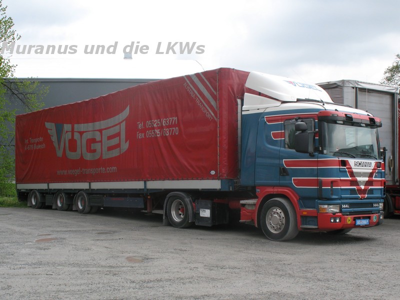 031_Scania-144Lxxx-Vögel-Österreich-BZ-308-P_20100515_002.JPG