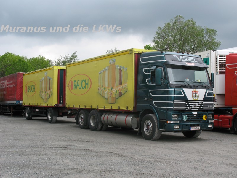 032_Volvo-FH-460-Vögel-Österreich-BZ-366-BJ_20100515_001.JPG