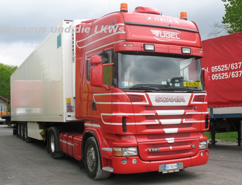 036_Scania-R580-Vögel-Österreich-DD-782-YH_20100515_002.JPG