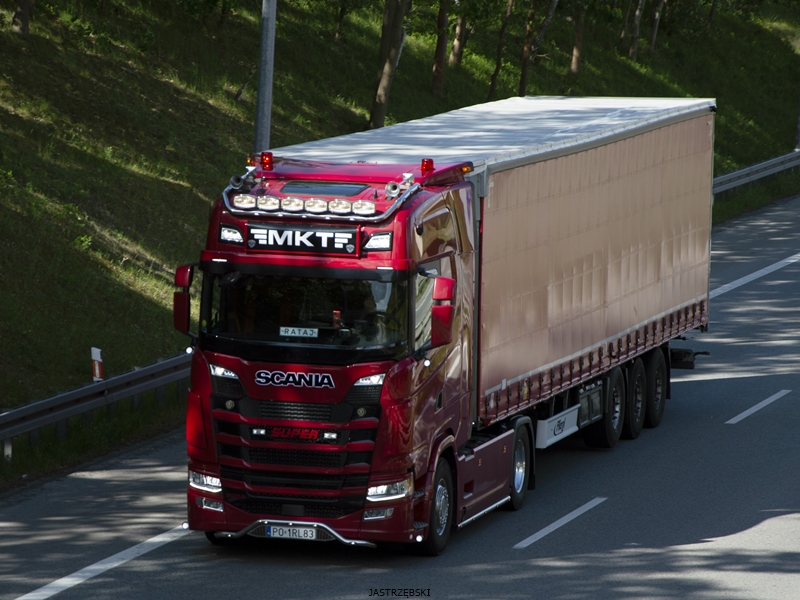 DSC_0720kopia tf.jpg