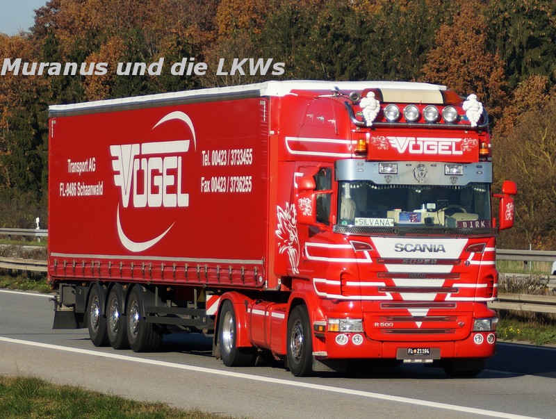 166_Scania-R500-Vögel-Österreich_20151105_010.jpg