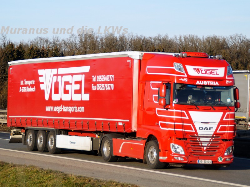 170_DAF-XF-E6-460-Vögel-Österreich_20160126_001.jpg