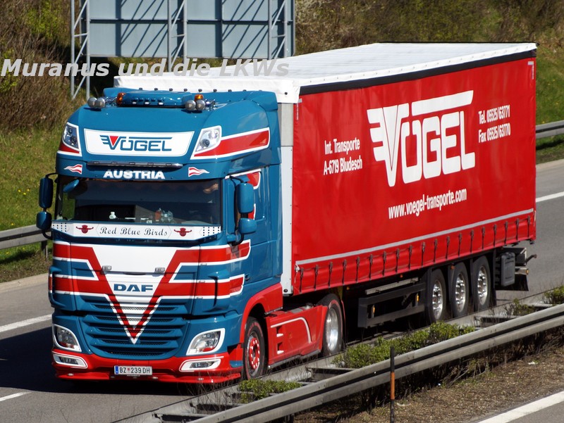177_DAF-XF-105-xxx-Vögel-Österreich_20160429_006.jpg