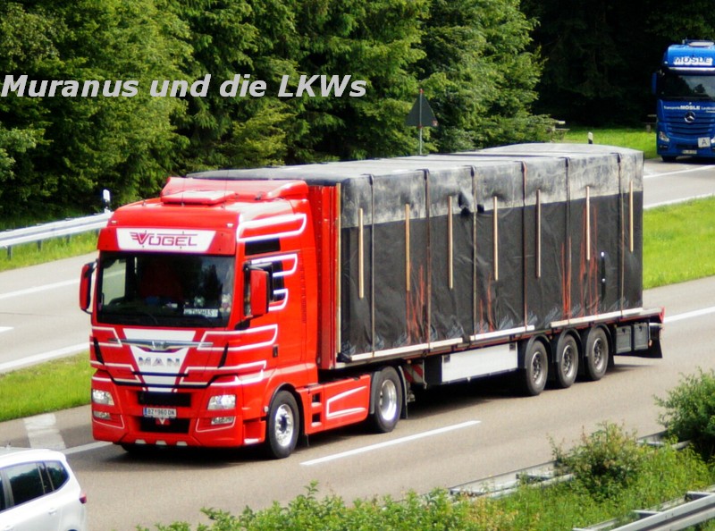 188_MAN-TGX-18-xxx-Vögel-Österreich_20160621_001.JPG
