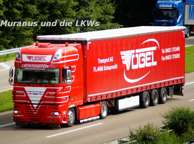 190_DAF-XF-105-xxx-Vögel-Österreich_20160621_001.jpg