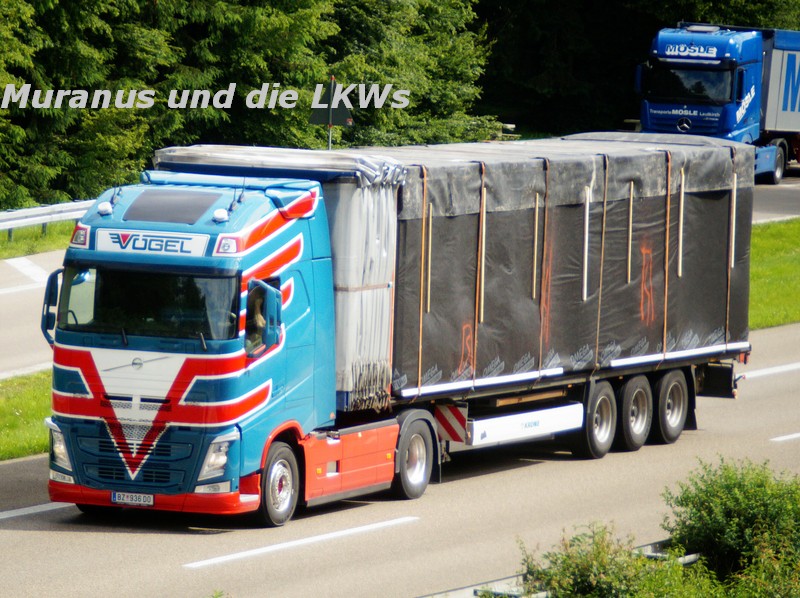 192_Volvo-FH-xxx-Vögel-Österreich_20160621_001.jpg