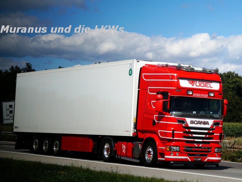194_Scania-R500-Vögel-Österreich_20160822_001.JPG