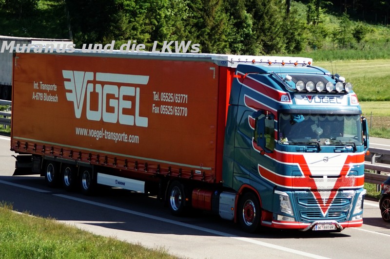 206_Volvo-FH-xxx-Vögel-Österreich_20180508_001.JPG