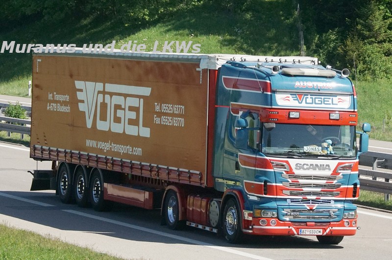 208_Scania-R500-Vögel-Österreich_20180508_001.JPG