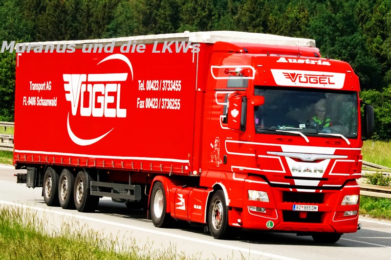 210_MAN-TGX-18-560-Vögel-Österreich_20180524_001.JPG