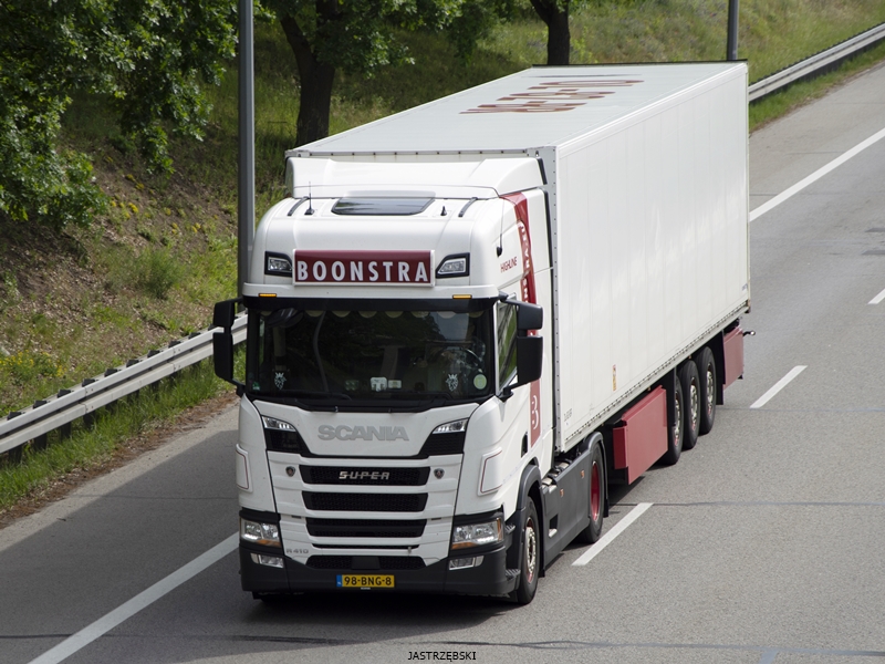 DSC_0168kopia tf.jpg