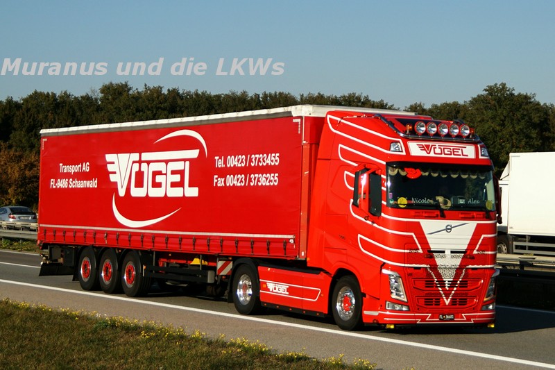 218_Volvo-FH-500-Vögel-Österreich_20181015_001.JPG