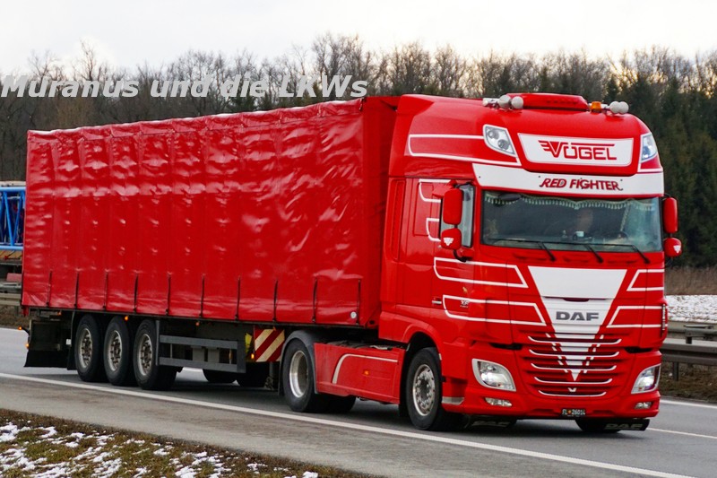 223_DAF-XF-E6-460-Vögel-Österreich_20190129_002.JPG