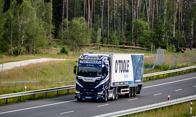 DSC_0711_edited — kopia.jpg