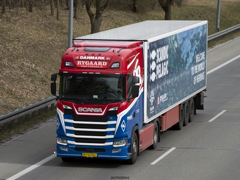 DSC_0556kopia tf.jpg