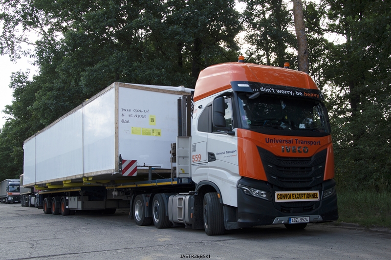 DSC_0549kopia tf.jpg