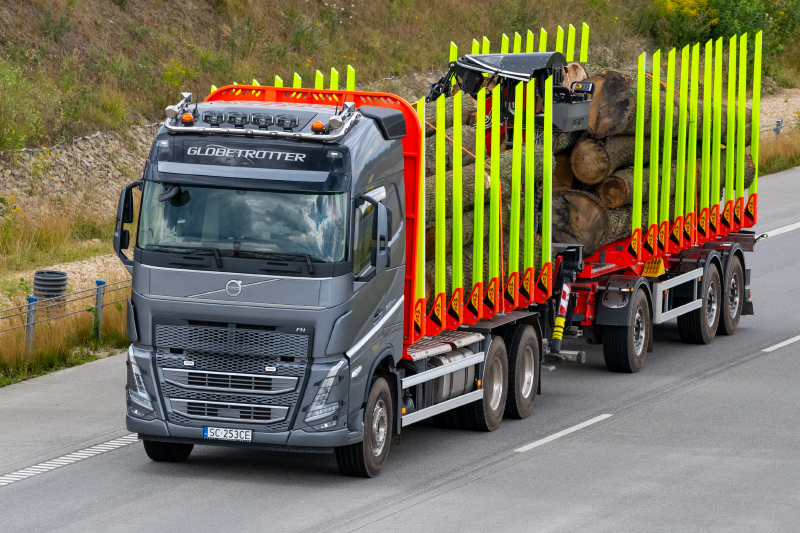 DSC_0590_VOLVO_FH_V.jpg
