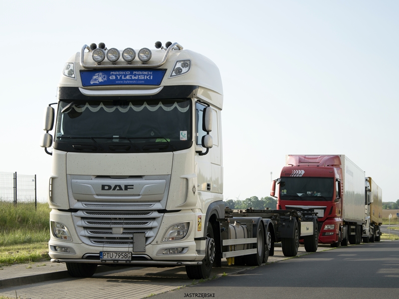 DSC_1172kopia tf.jpg