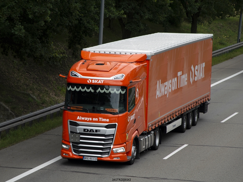 DSC_0862kopia tf.jpg