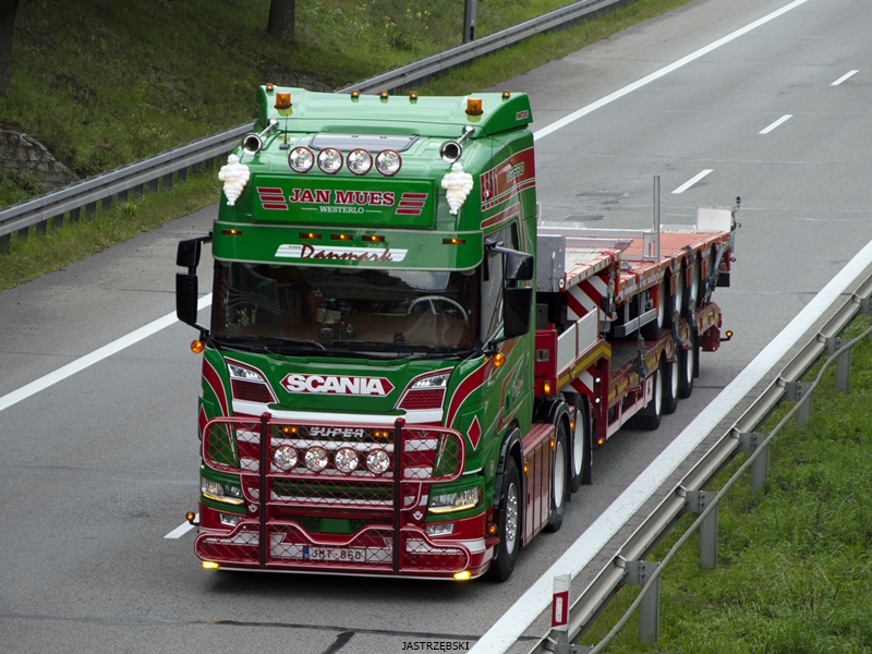 DSC_1233kopia tf.jpg