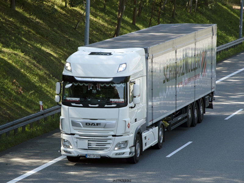 DSC_1394kopia tf.jpg