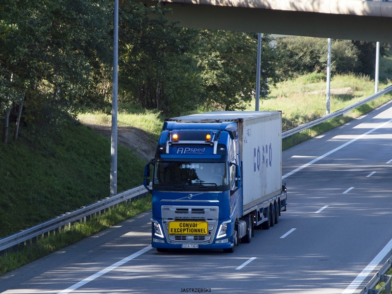 DSC_0390kopia tf.jpg