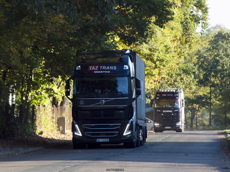 DSC_0555kopia tf.jpg