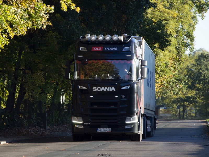 DSC_0561kopia tf.jpg