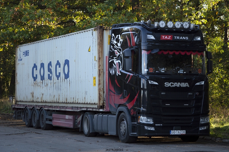 DSC_0567kopia tf.jpg