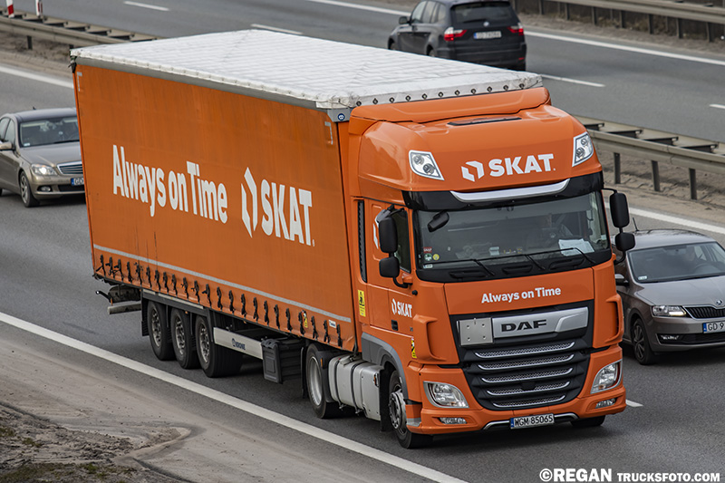 skat7.jpg