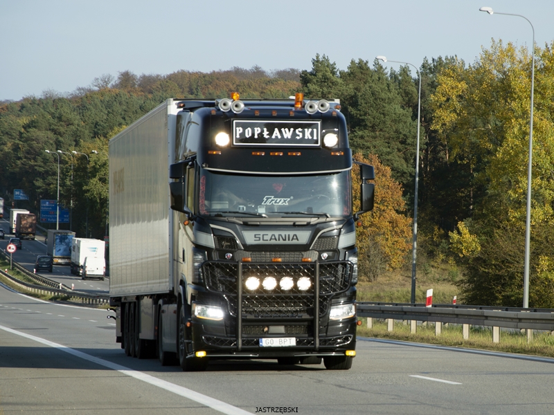 DSC_0418kopia tf.jpg