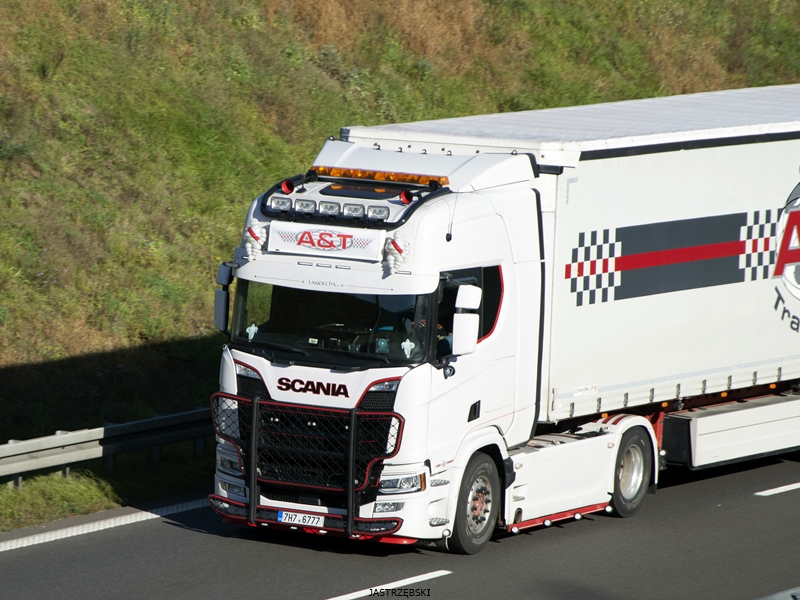 DSC_0372kopia tf.jpg