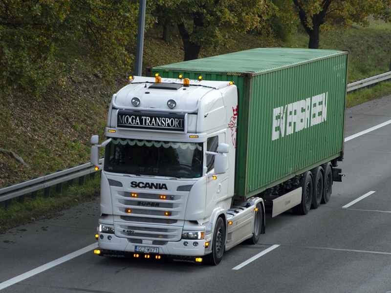 DSC_0731kopia tf.jpg