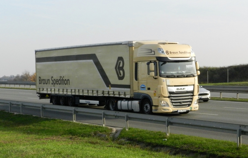 BraunSpedPL.JPG