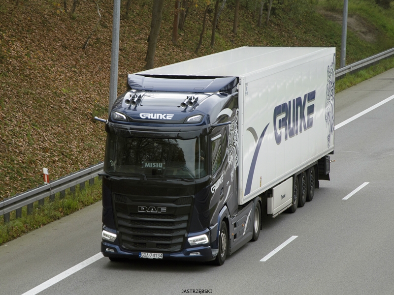 DSC_0047kopia tf.jpg