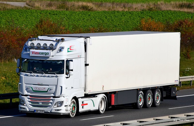 Vizocargo.jpg