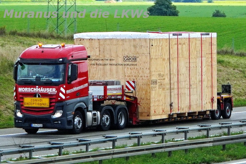 A7 (D)