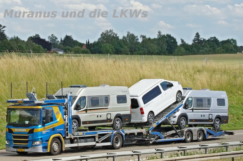 A7 (D)