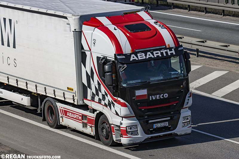 ivecostralis2.jpg