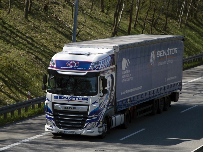 DSC_0224kopia tf.jpg