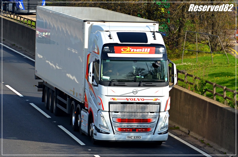 DSC_8398.JPG  O'neill 2.JPG