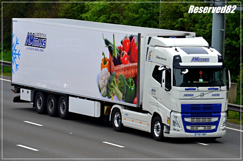 DSC_7038.JPG AMTRANS.JPG