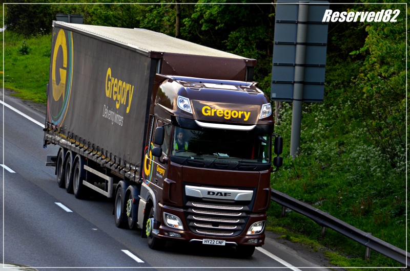 DSC_5807.JPG gregory.JPG