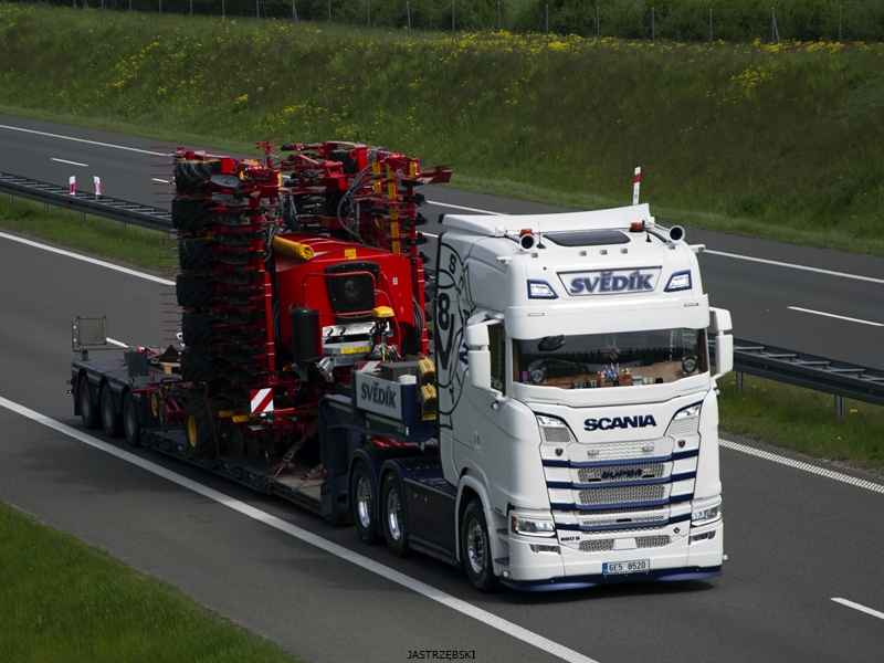 DSC_0787kopia tf.jpg