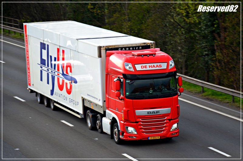 DSC_2539.JPG DE HAAS.JPG