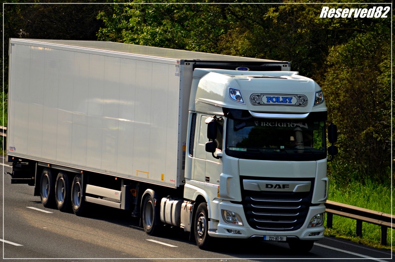 DSC_9824.JPG Foley.JPG