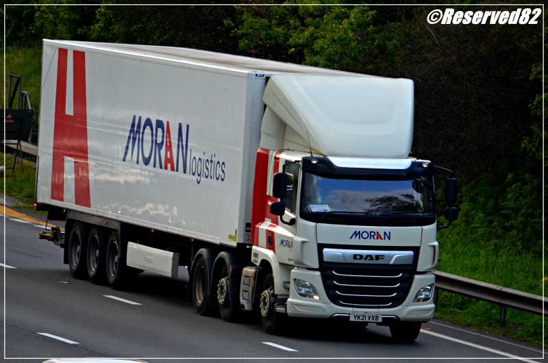 DSC_0120.JPG Moran.JPG